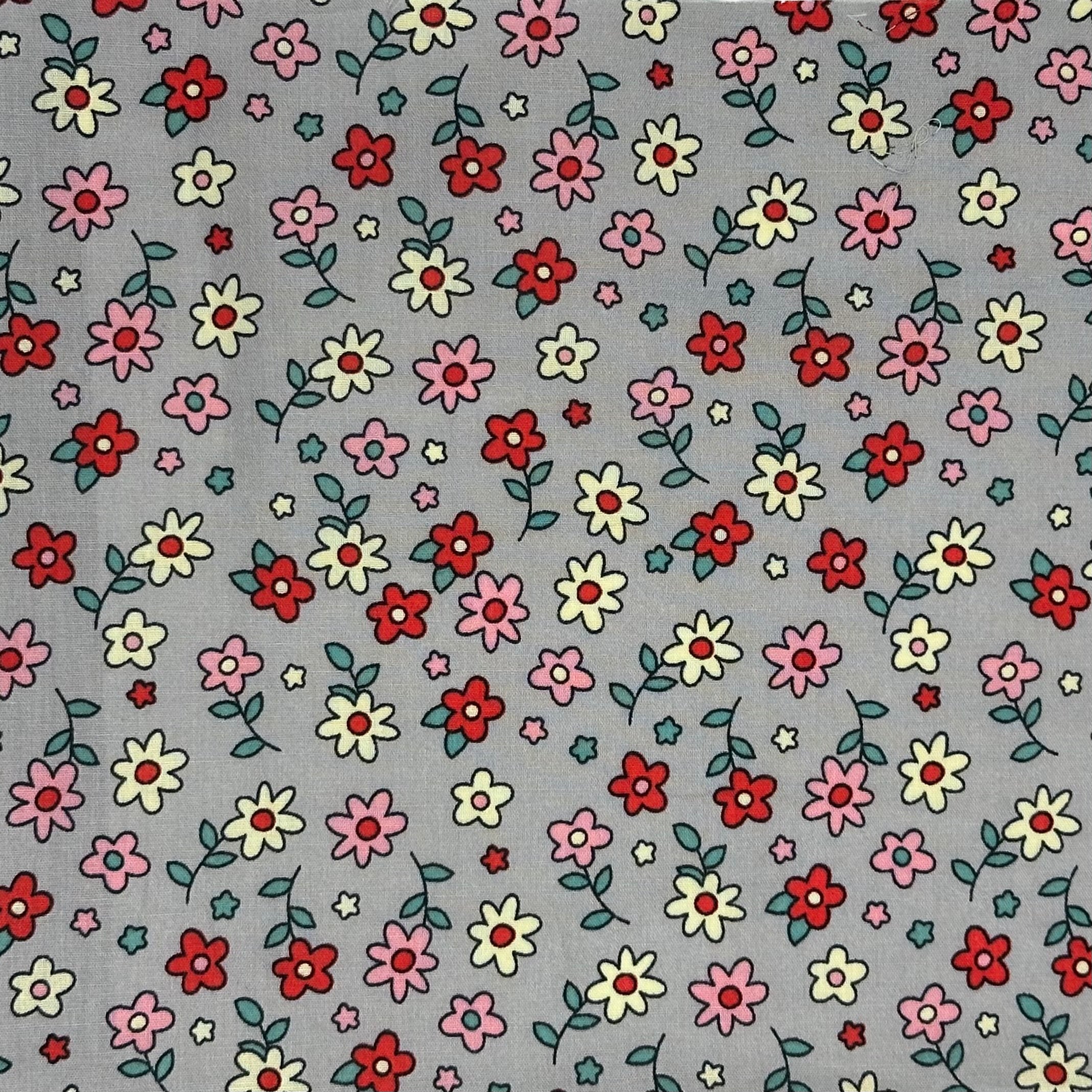 Popeline Liberty imprimée avec dessin sur fond gris