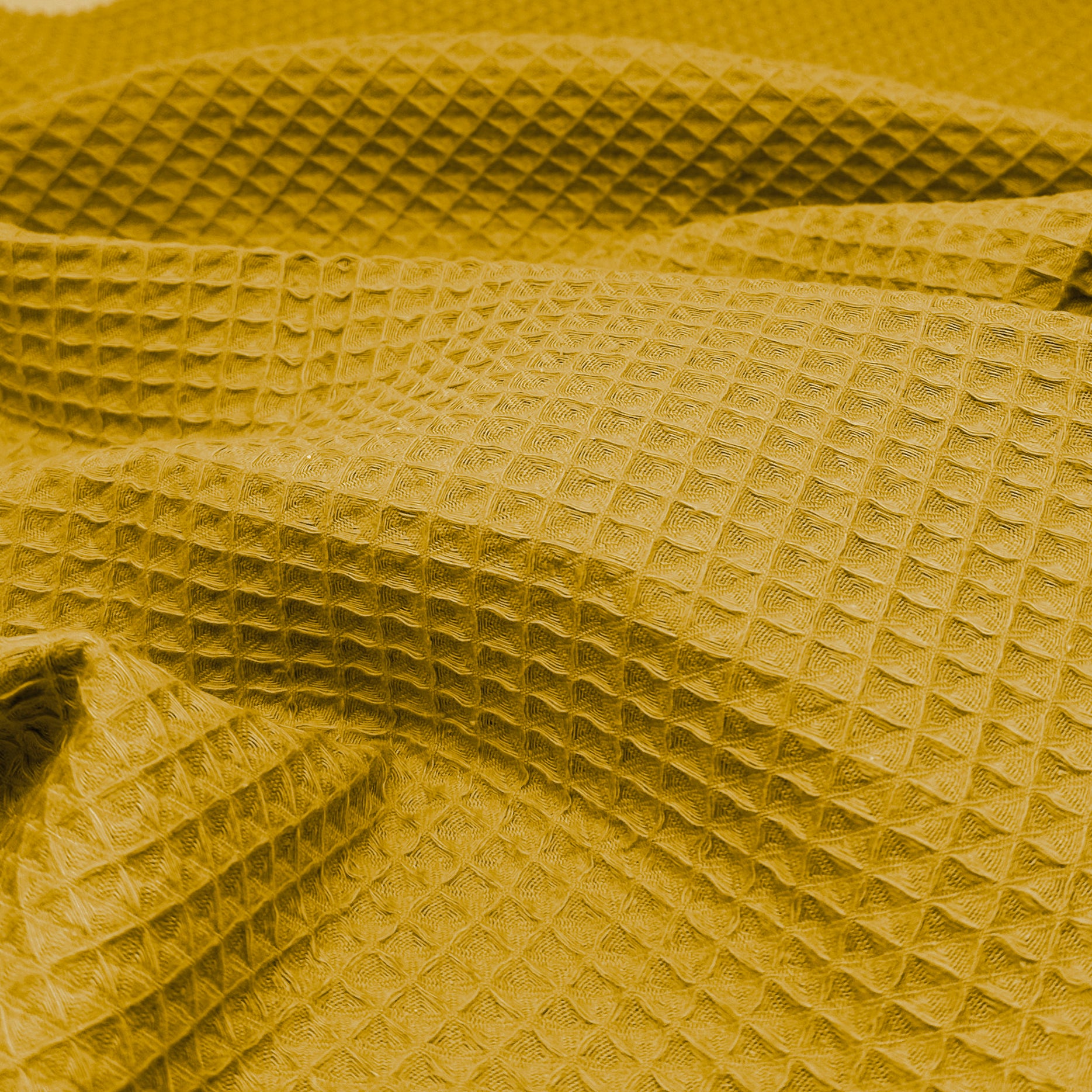 WAFFLE O GOFRE AMARILLO MOSTAZA