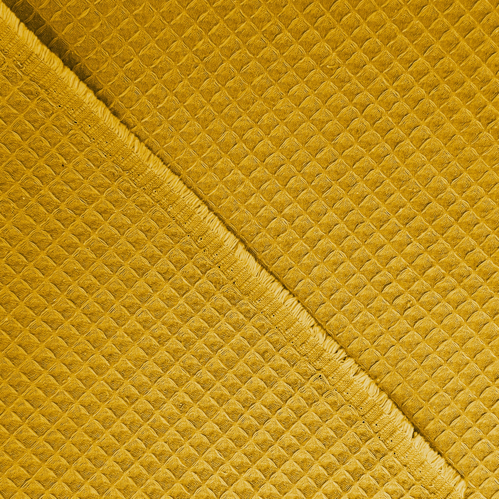 WAFFLE O GOFRE AMARILLO MOSTAZA