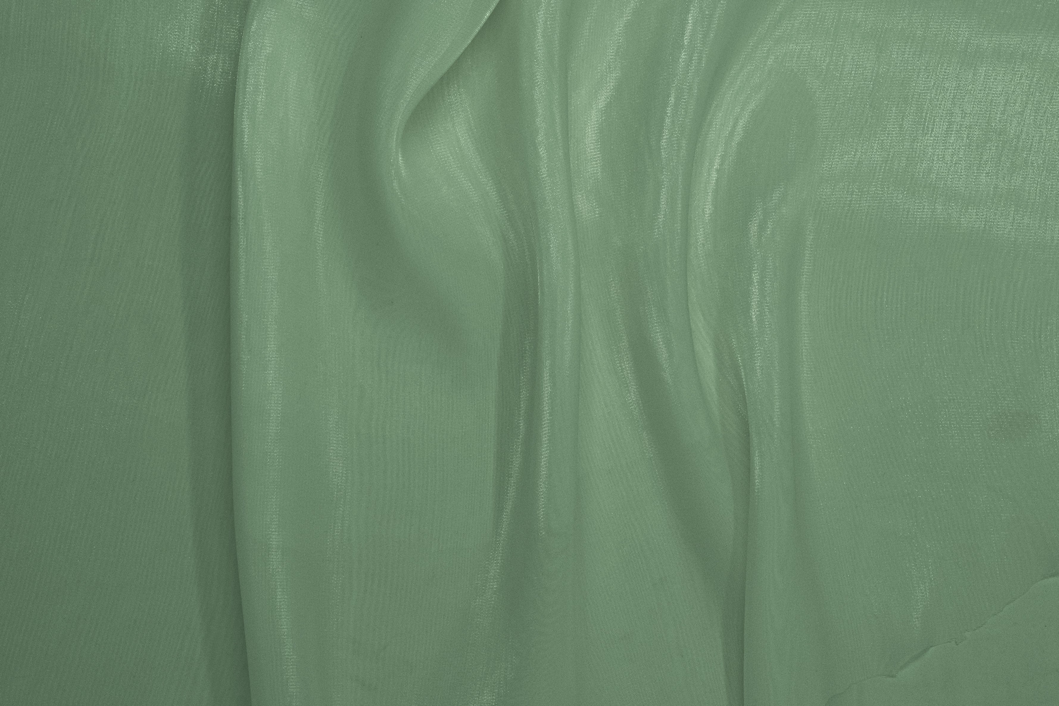 ORGANZA POLYAMIDE VERTE
