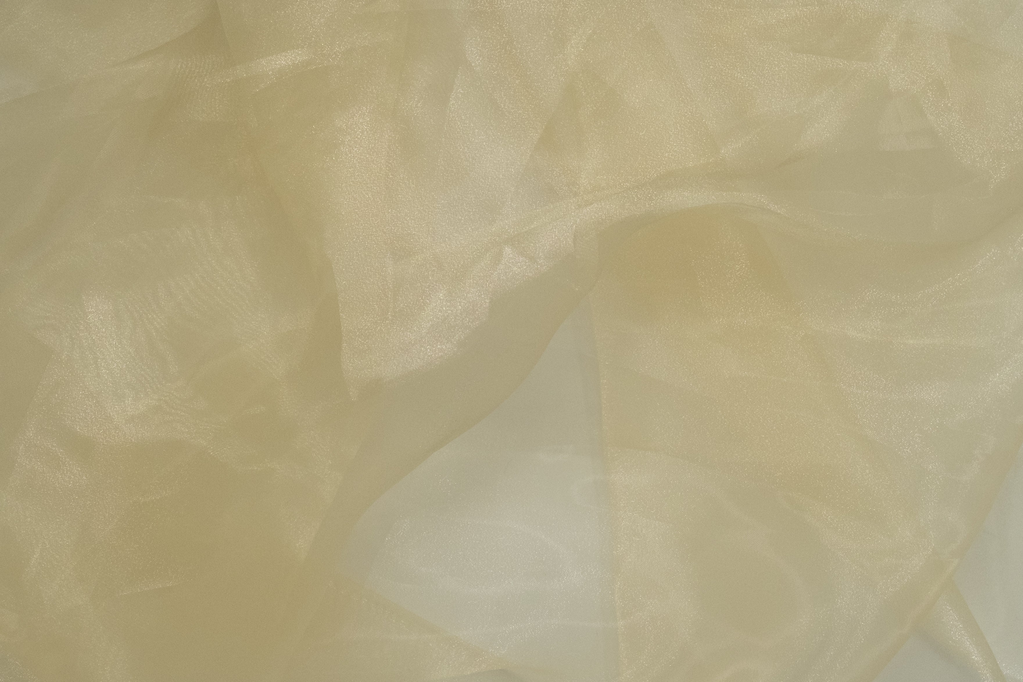 ORGANZA POLYESTER BEIGE