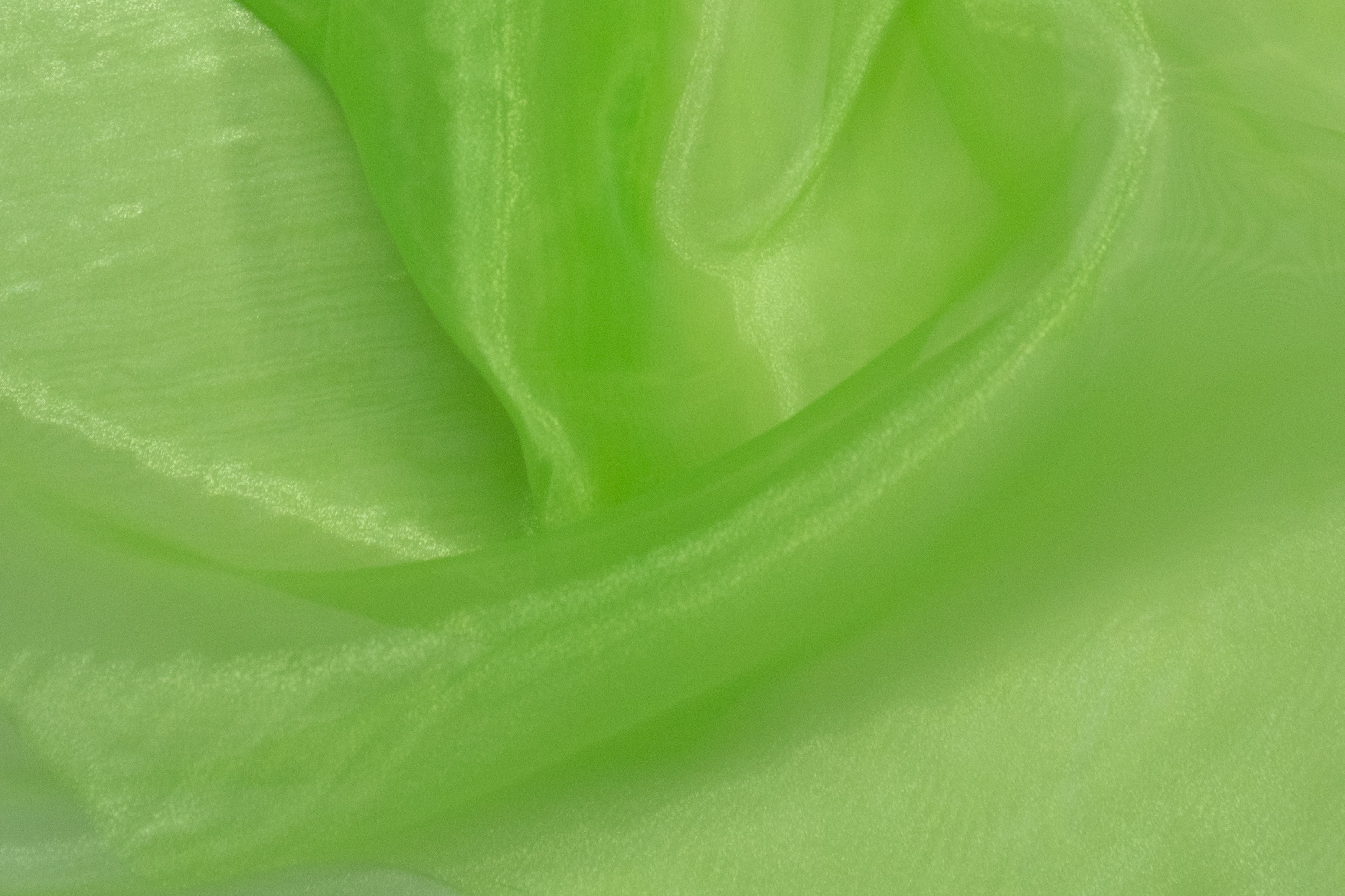 ORGANZA POLYESTER VERT GAZON