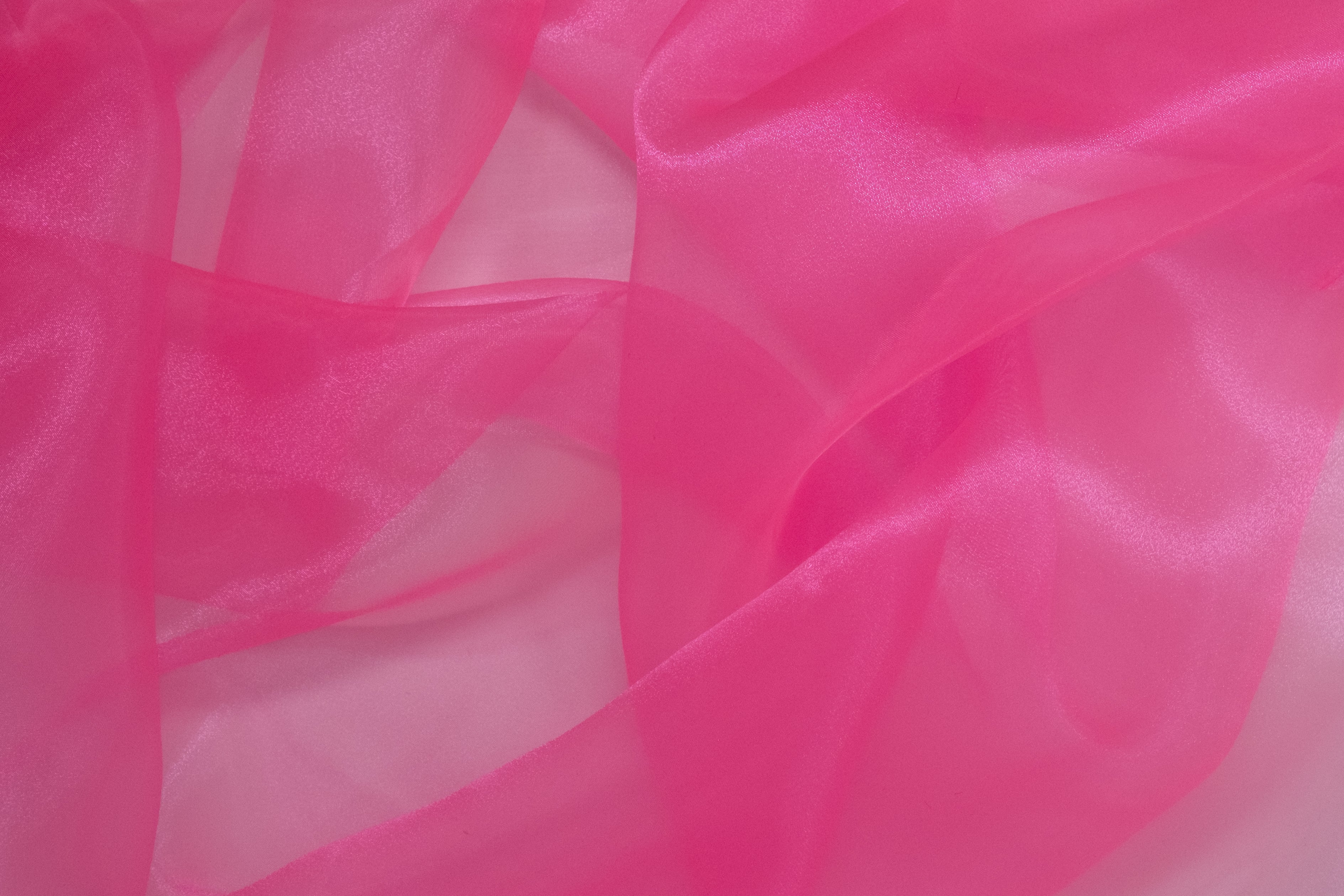 ORGANZA POLYESTER ROSE