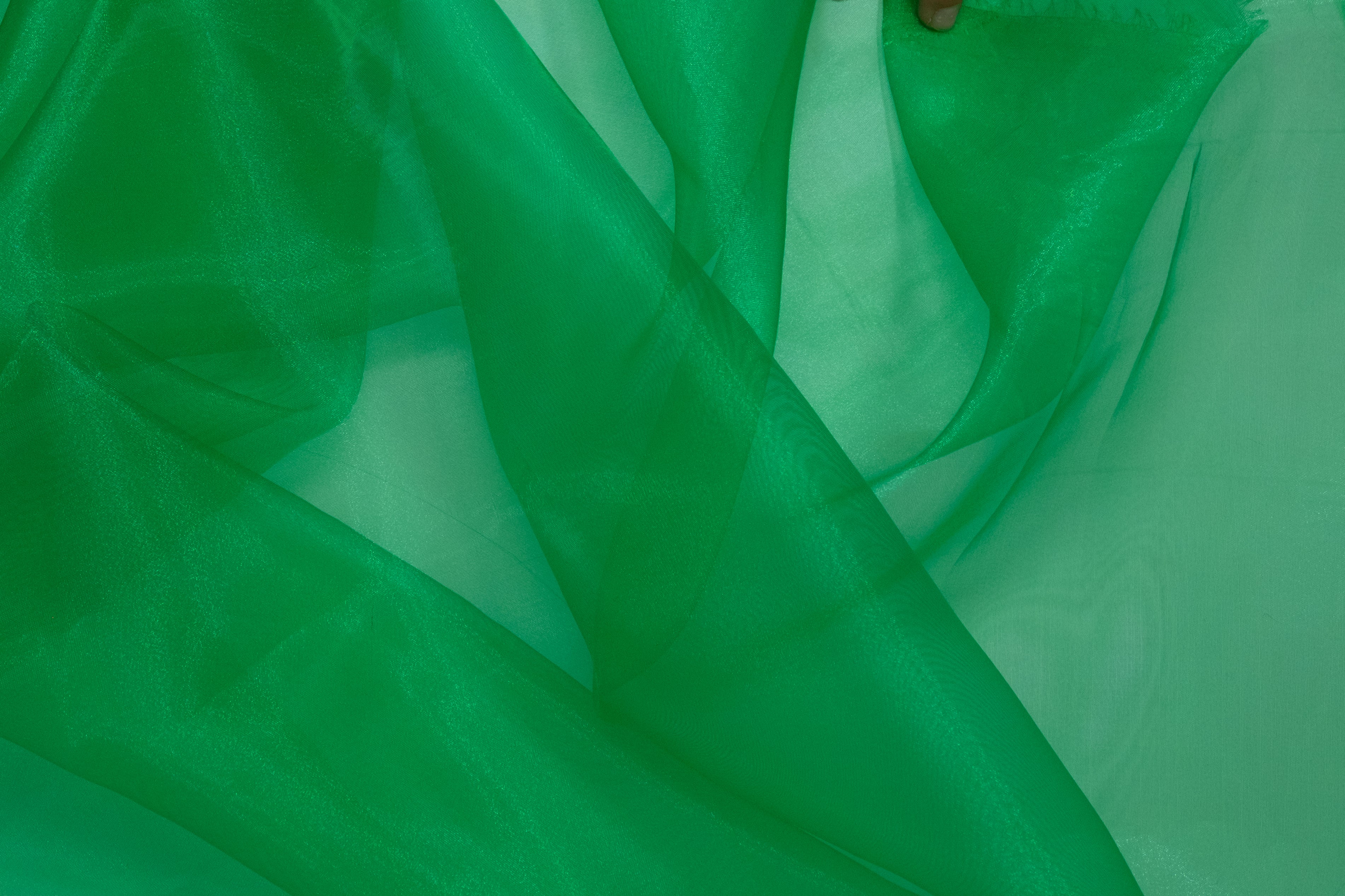 ORGANZA POLYESTER VERT PERROQUET