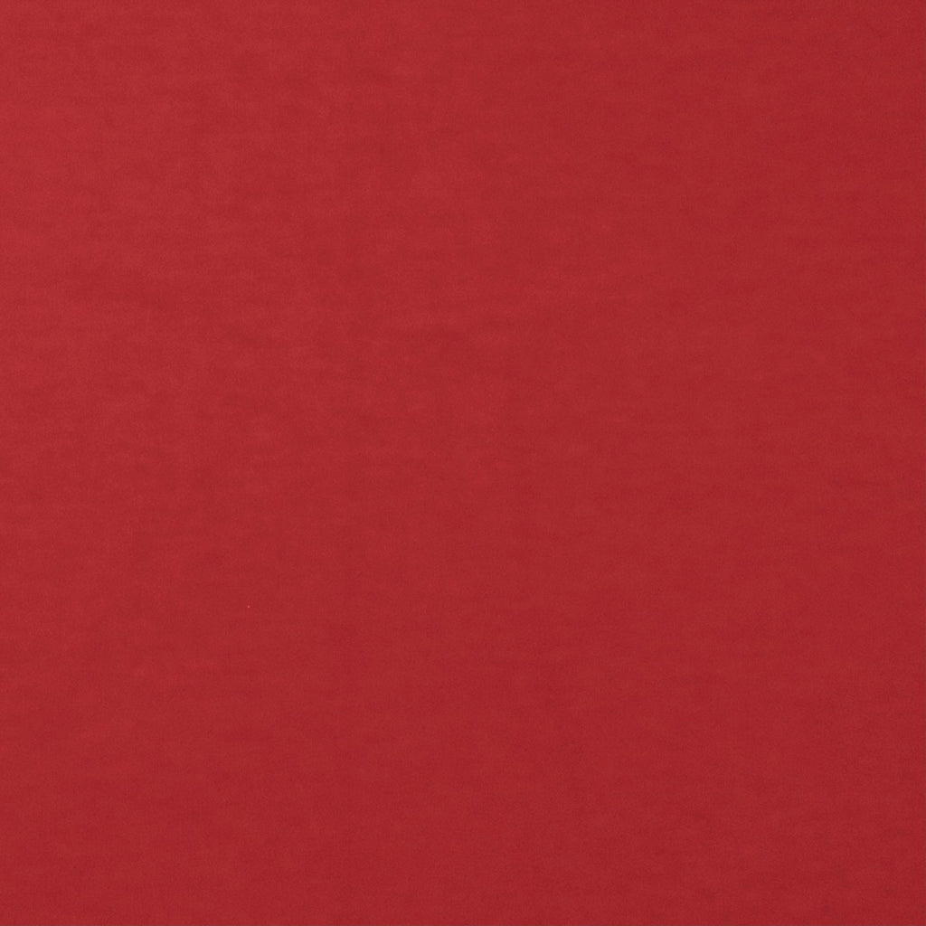 RED BAMBOO POINT