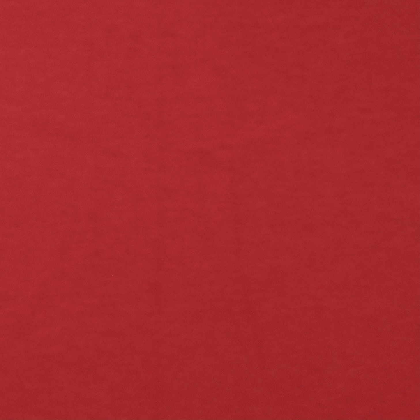 RED BAMBOO POINT