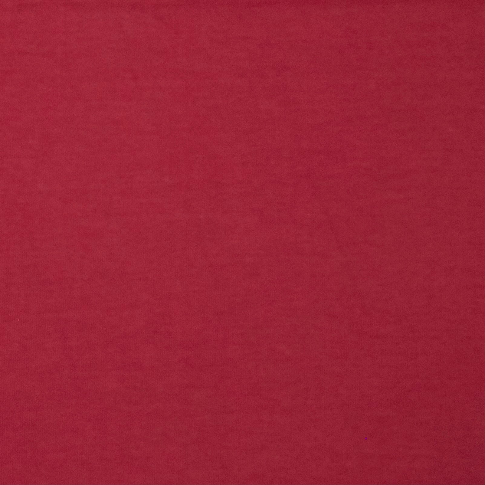 POINT JERSEY LYCRA GRENAT