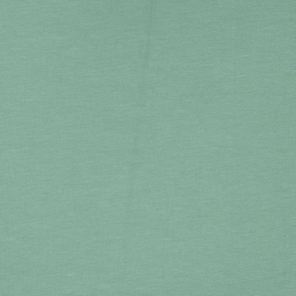 POINT COTON LYCRA VERT SAUGE SOUPLE