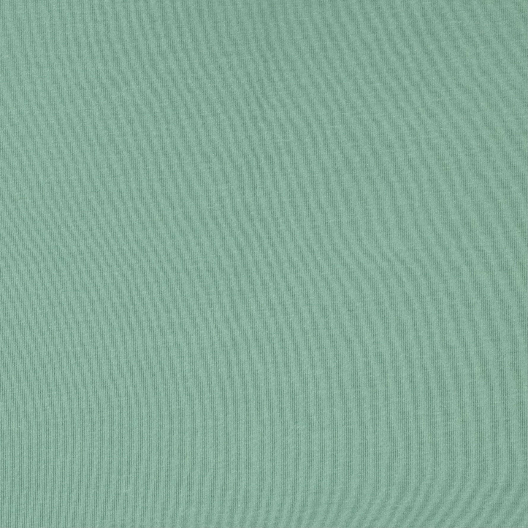 POINT COTON LYCRA VERT SAUGE SOUPLE
