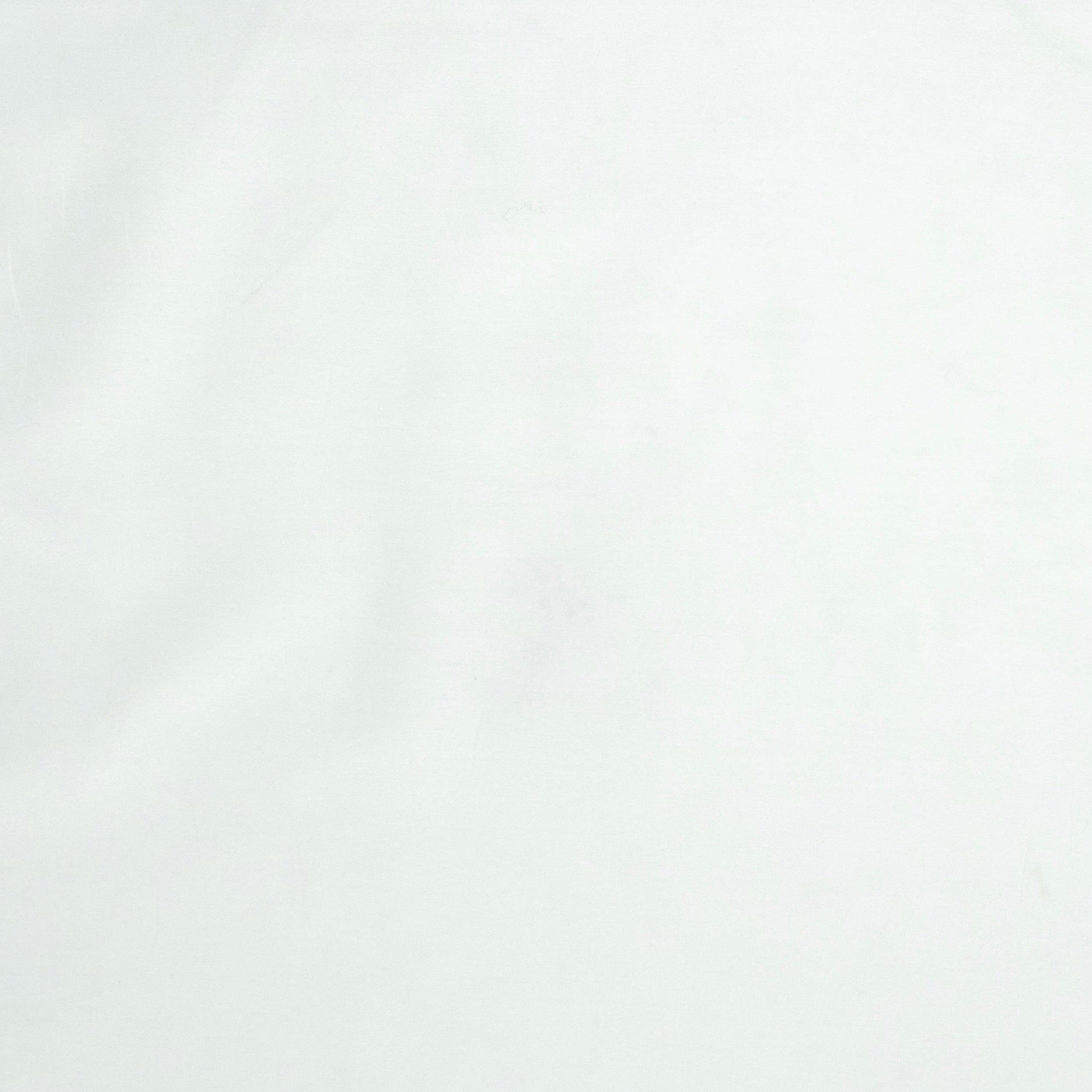VOILE SOIE COTON PPT BLANC