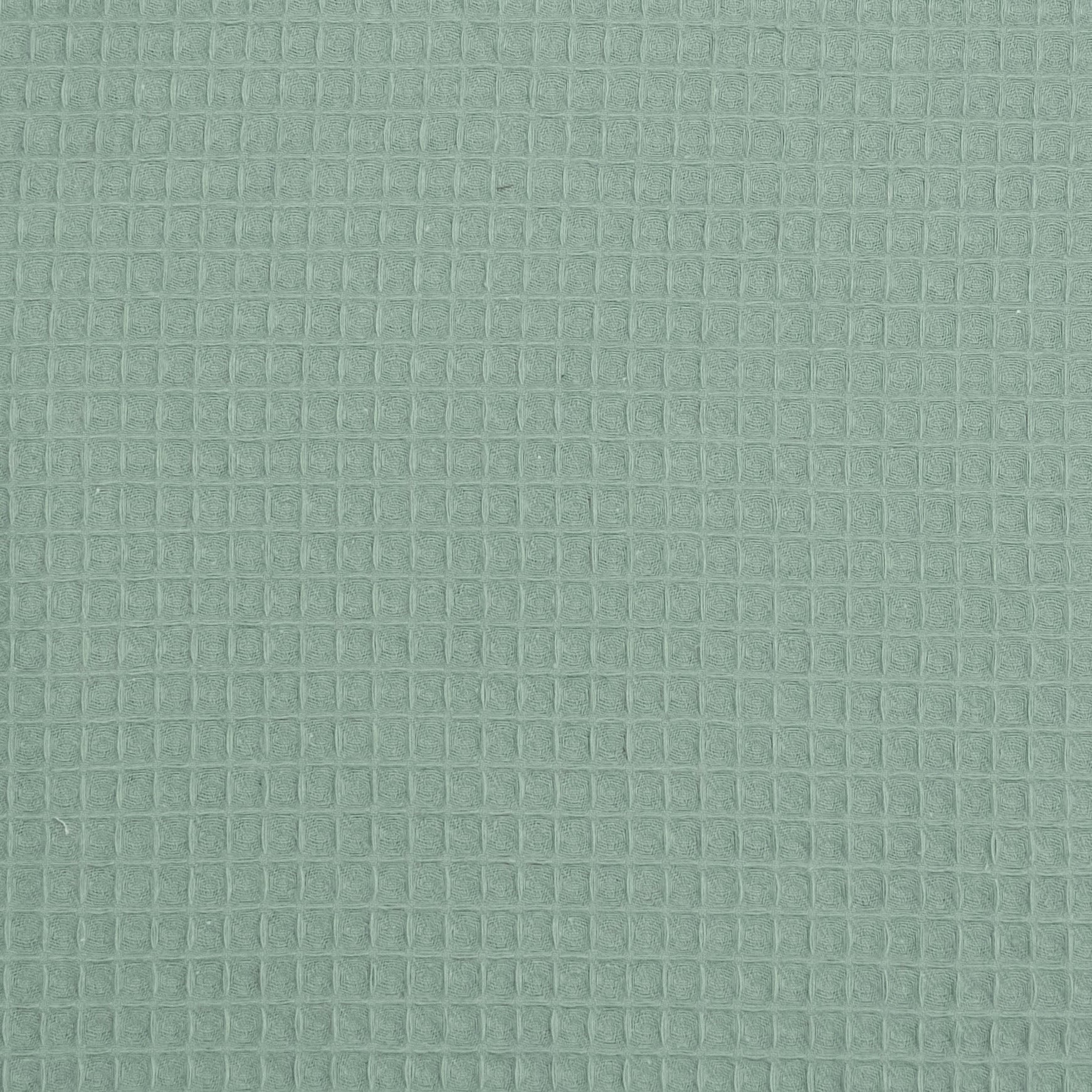 WAFFLE O GOFRE VERDE AGUAMARINA