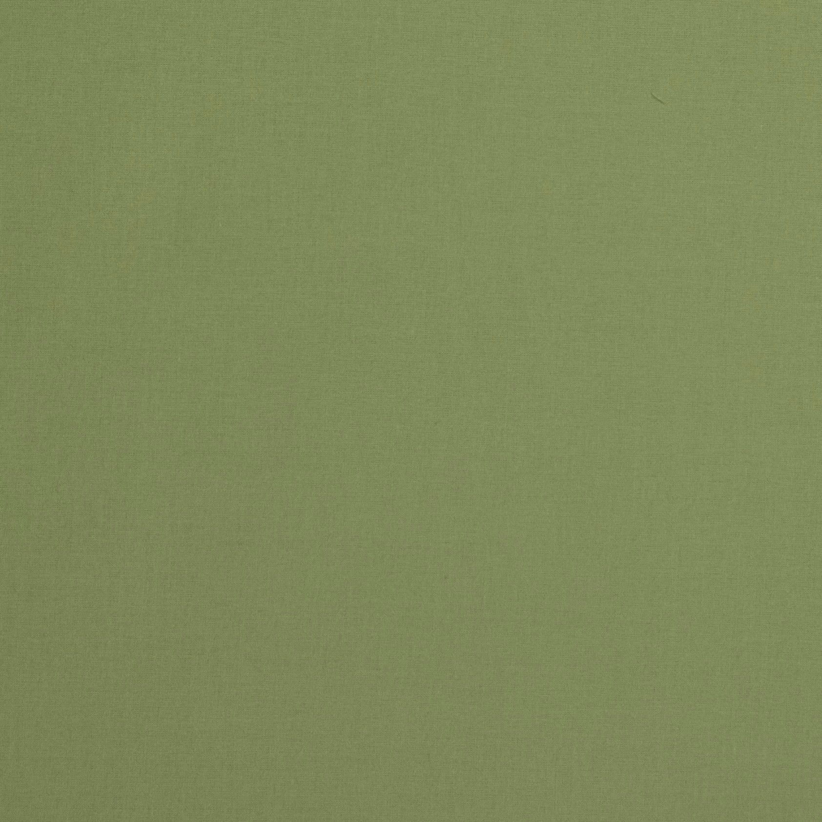 PISTACHIO GREEN VOILE