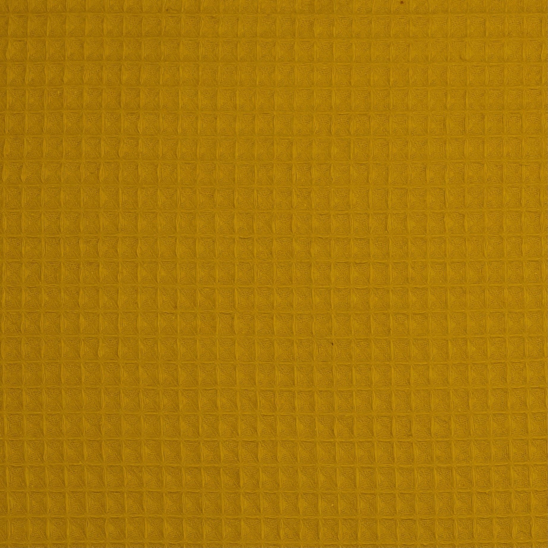 WAFFLE O GOFRE AMARILLO MOSTAZA